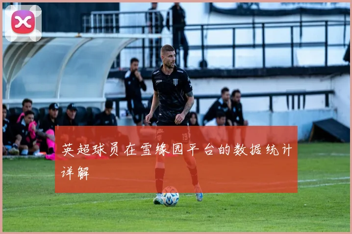 英超球员在雪缘园平台的数据统计详解