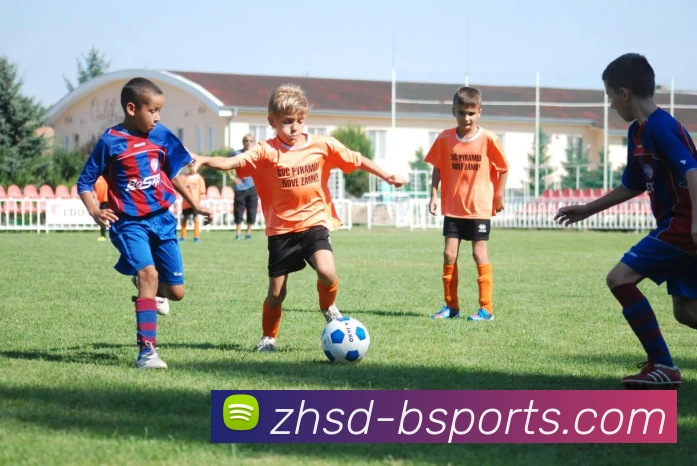 B体育Bsports平台生态图